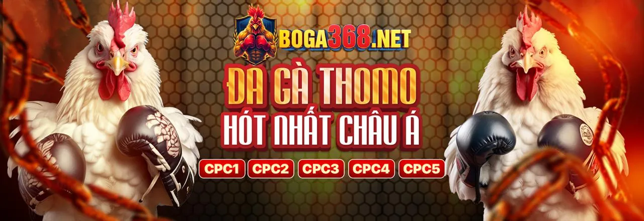 Tham gia chương trình đối tác s8 bet để thành công