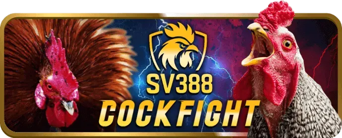 Bài viết về ưu đãi s8 bet mới nhất